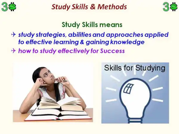Ways To Study Effectively In College